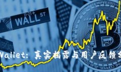 tpWallet: 真实揭露与用户反